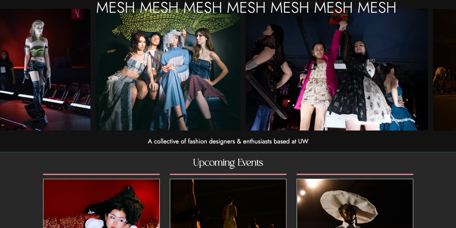 MESH UW Website