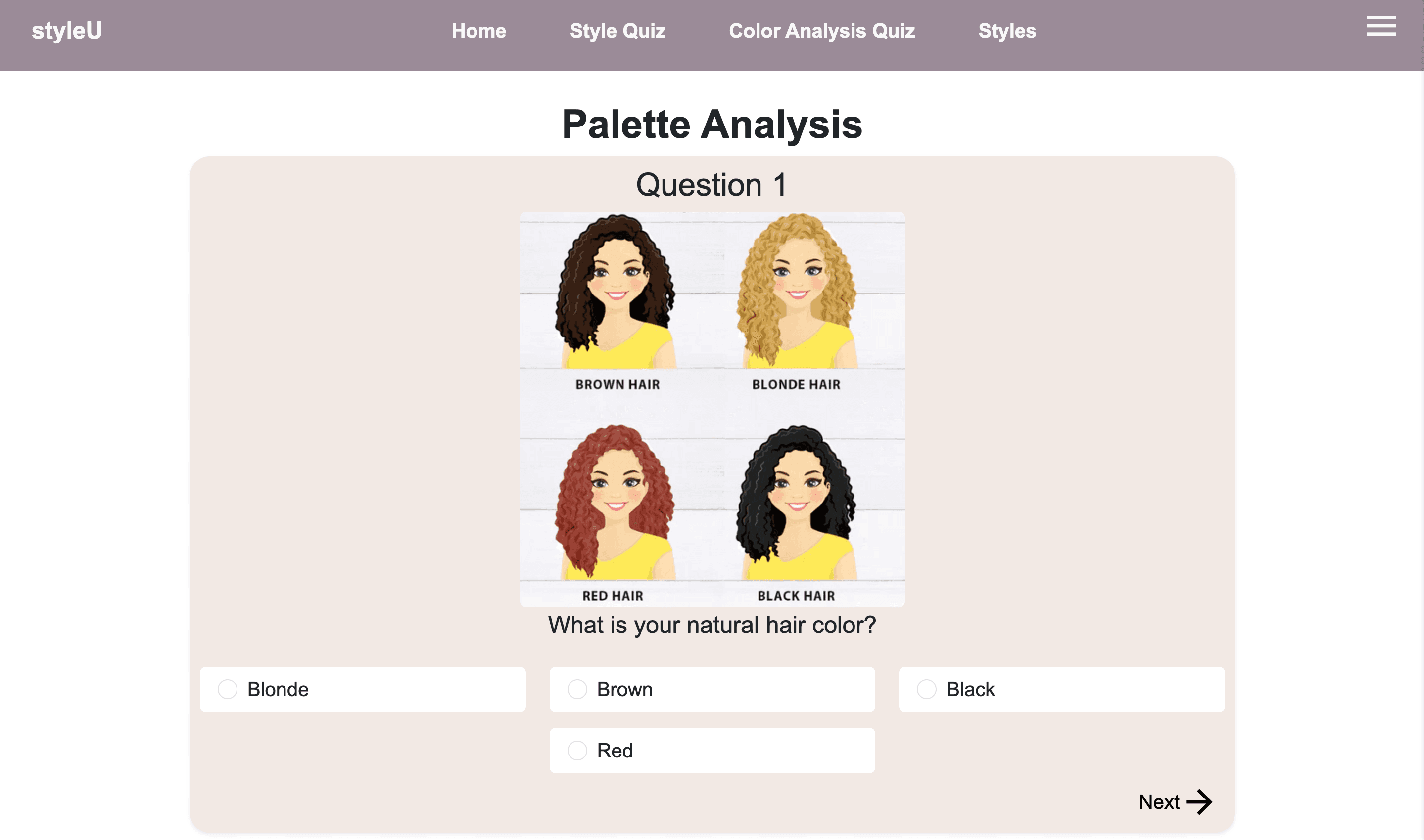 styleU Palette Quiz